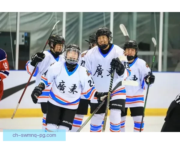 冰球锦标赛：燃情对攻，冠军之路誓夺！