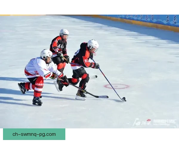 冰球大奖赛：冰场上的无尽辉煌