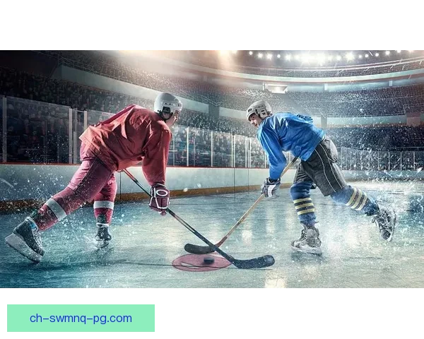 学习冰球技术,提高球艺水平 学习冰球技术,提高球艺水平