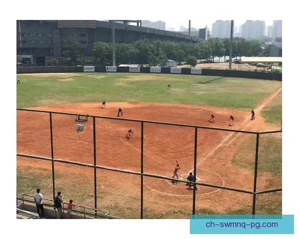 打开新视角，深度解析棒球比赛中的战术技巧和背后的心理战。