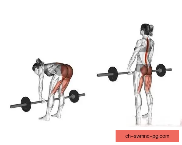 精进摔跤技巧，提升训练效果