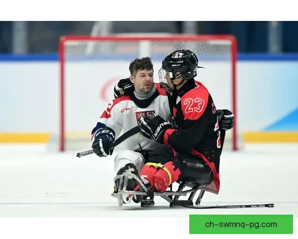 精彩瞬间回顾:冰球赛事重温 精彩瞬间回顾:冰球赛事重温