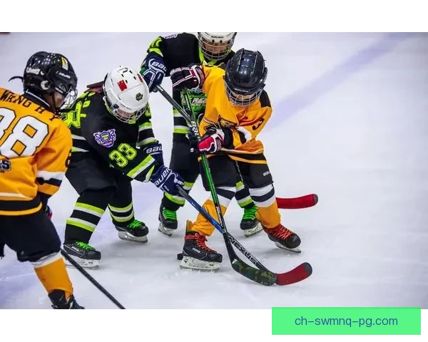 精彩回放：冰球赛事全程回顾及解析