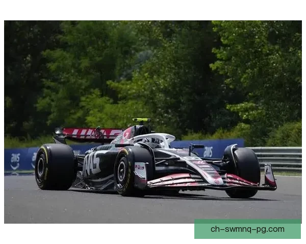 速度与激情：魅力赛事全程回放