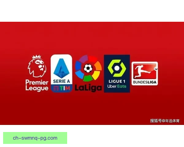 重燃激情：足球杯赛全面解读